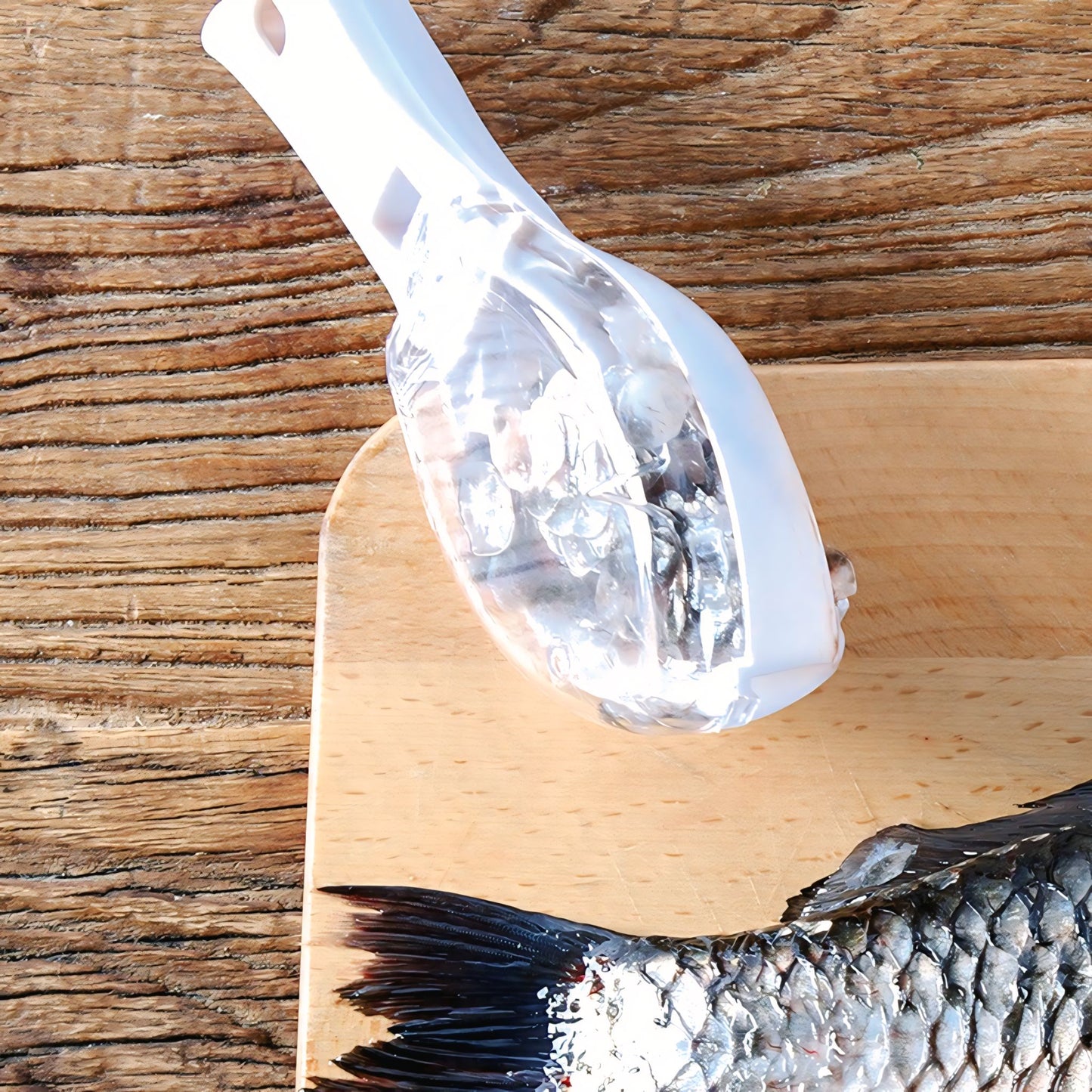 Grabzaa™ Fish Skin Brush – Quick & Easy Fish Cleaning Tool for Every Kitchen!