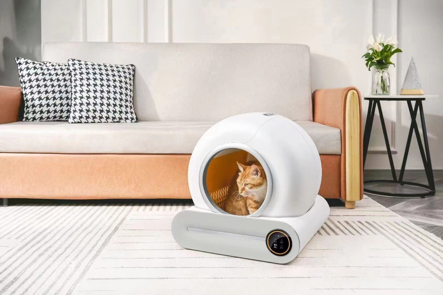 Smart Automatic Cat Litter Box – Self-Cleaning, Odor Control & Pooper Scooper | Grabzaa™